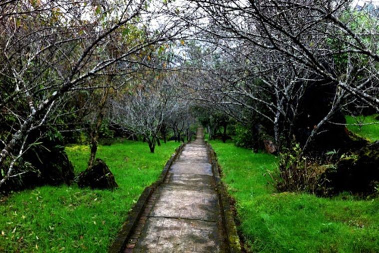 Núi Hàm Rồng - Sapa